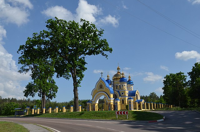 Запрошуємо жителів Жорнівського старостинського округу для обговорення звіту старости за 2024 рік та обміну думками